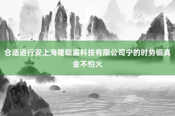 合适进行安上海隆聪露科技有限公司宁的时势锻真金不怕火