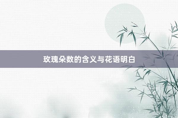 玫瑰朵数的含义与花语明白