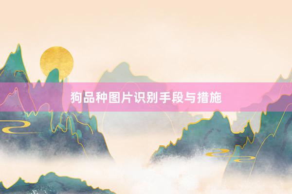 狗品种图片识别手段与措施