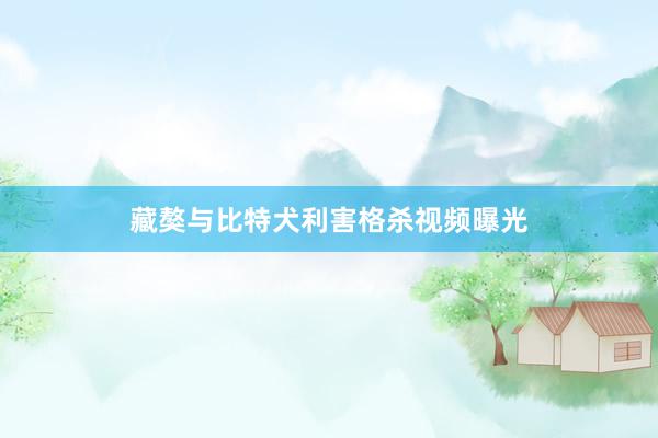 藏獒与比特犬利害格杀视频曝光